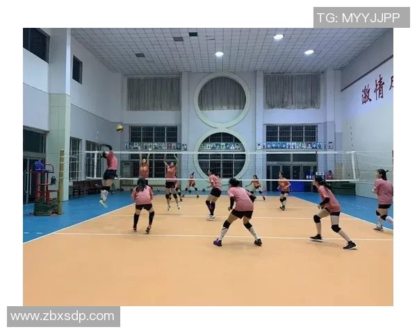 深度对话王强分享排球人生的奋斗与梦想之路