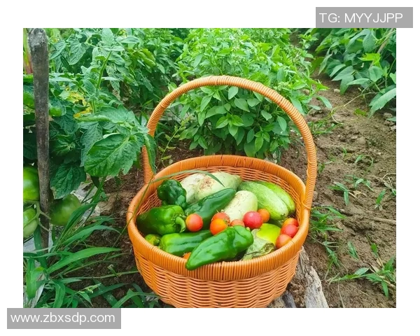 果园采摘之旅：畅享自然馈赠与丰收的快乐体验