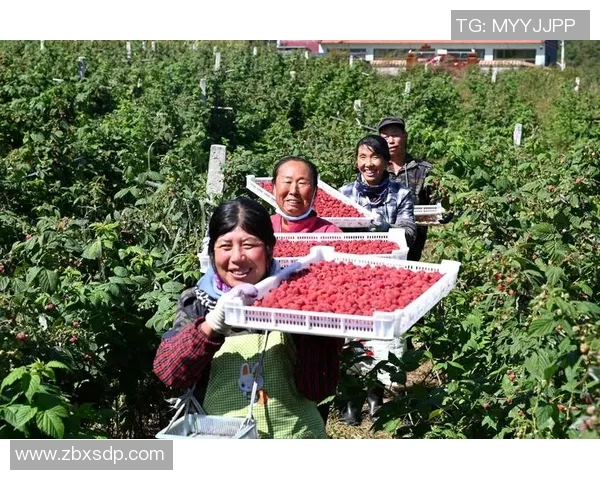 果园采摘季节来临，亲自体验果实丰收的喜悦与自然的魅力